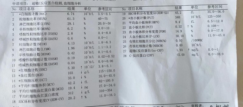 地中海贫血：了解与防治